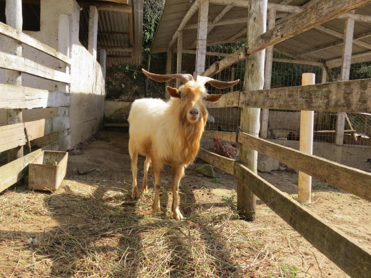 Hotel Fazenda Caledonia Inn Nova Friburgo Kültér fotó
