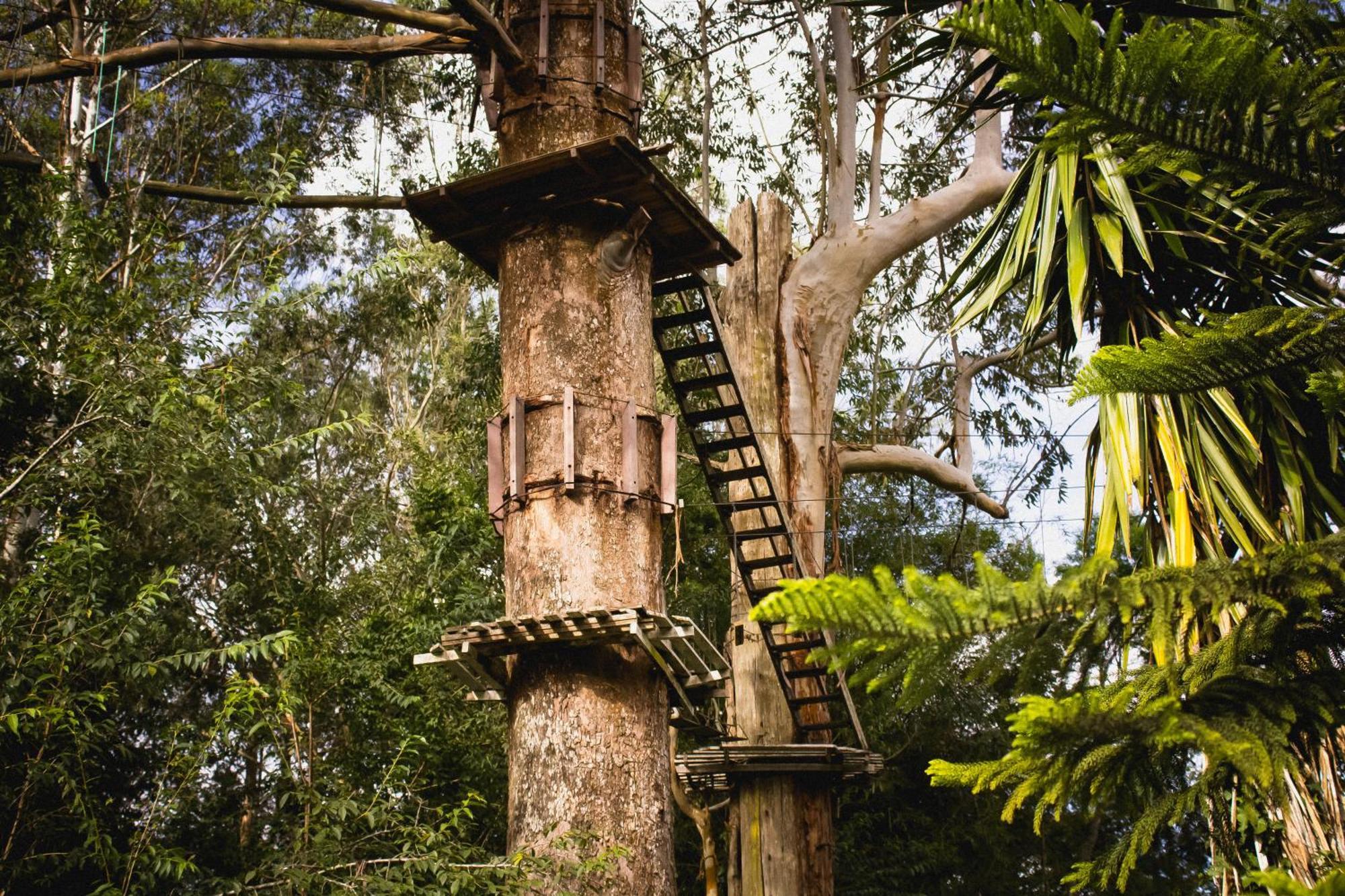 Hotel Fazenda Caledonia Inn Nova Friburgo Kültér fotó