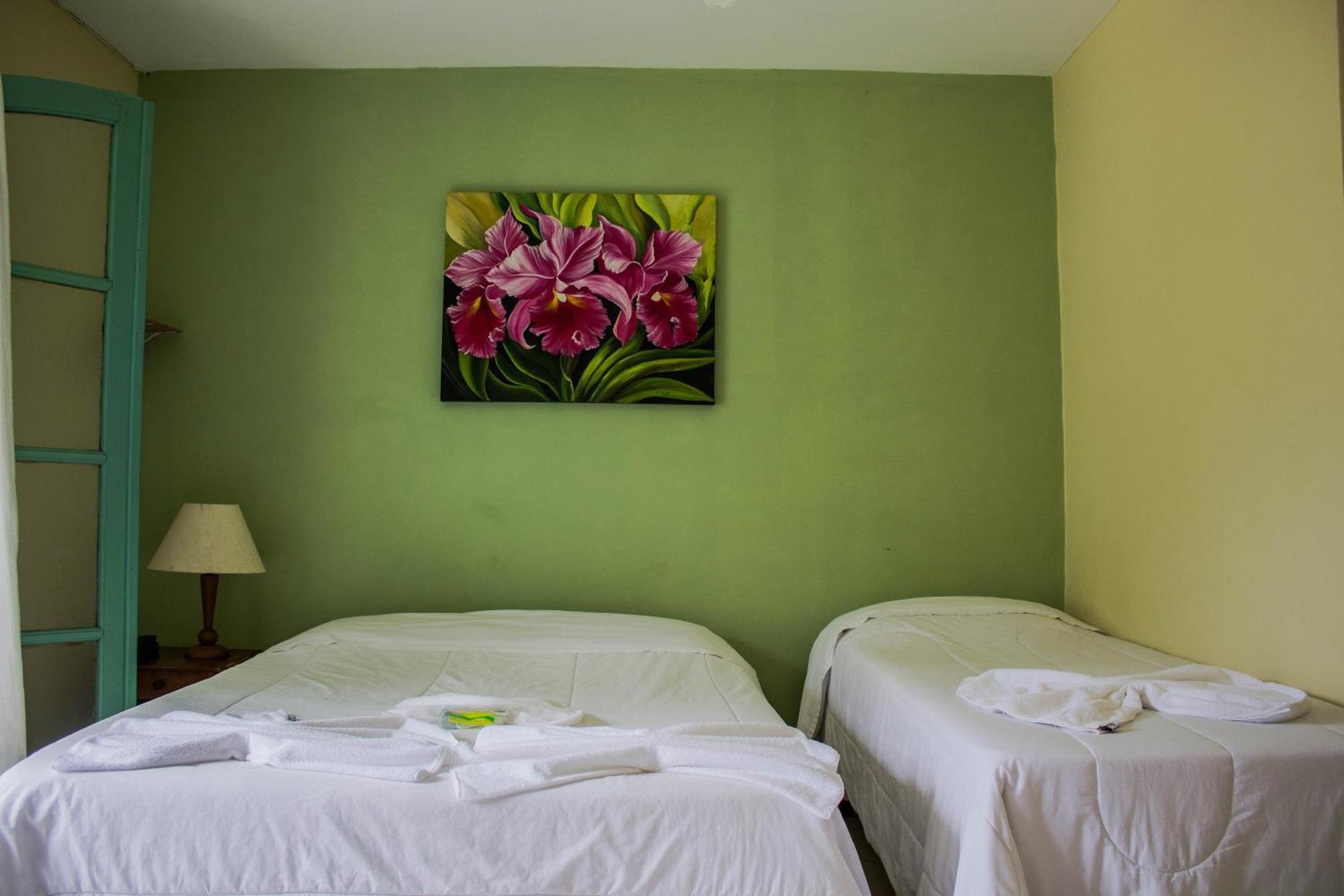 Hotel Fazenda Caledonia Inn Nova Friburgo Kültér fotó